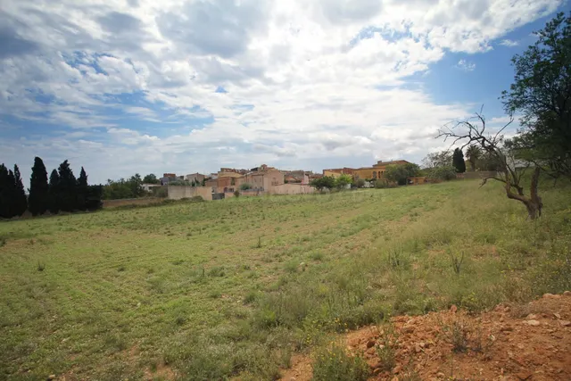 Parcela excepcional para inversores situada en el Baix Empor - foto 5
