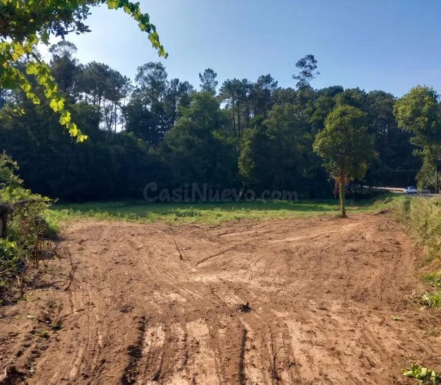 Tu vida a lo grande en Budiño: 2.400 m2 de finca, 451 m2 edi - foto 4