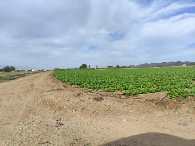 Parcela en Purias — 6