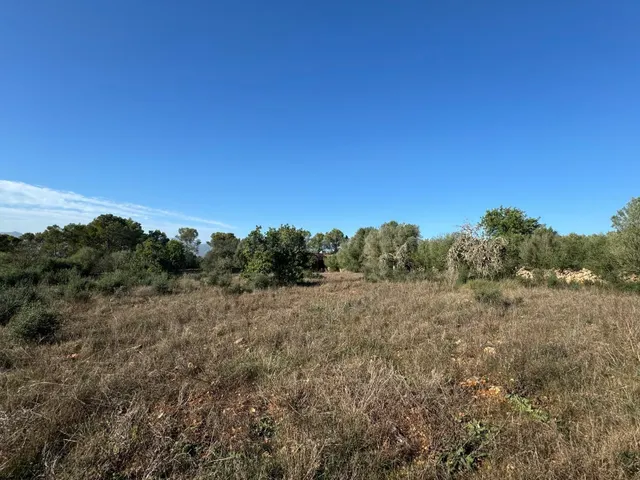 FINCA RUSTICA COSTITX - foto 4