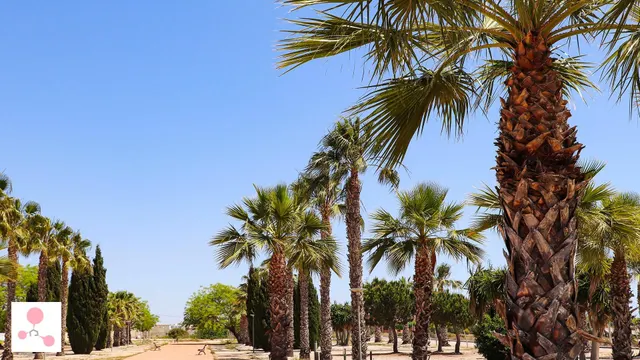 Villa de lujo de 4 dormitorios en una planta con piscina privada y sótano en la urbanización La Marina(San Fulgencio) — 9