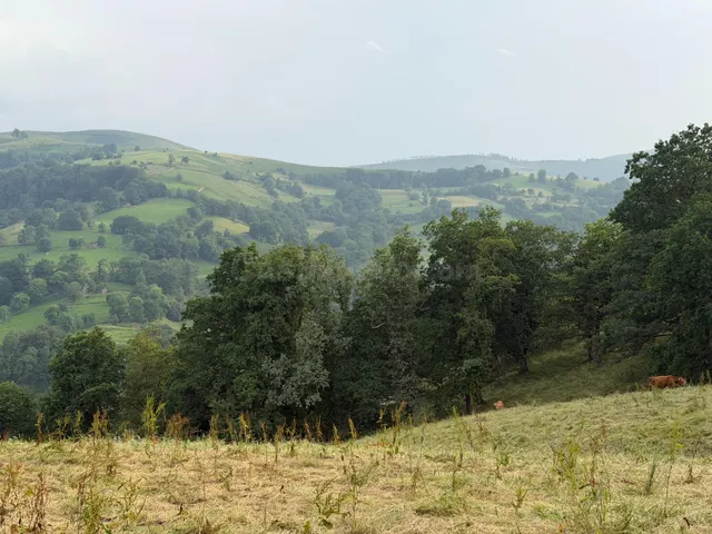 Venta de Cabaña en Selaya - foto 4