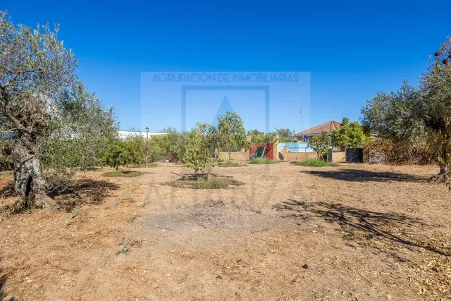 Venta de chalet independiente la urb. los ranchos de guadiamar Sanlúcar la Mayor (Sevilla) — 34