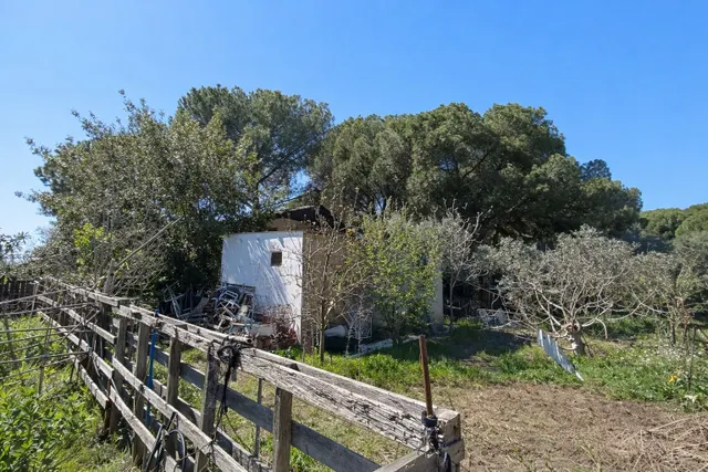 En venta maravillosa finca Rustica de Olivos — 30