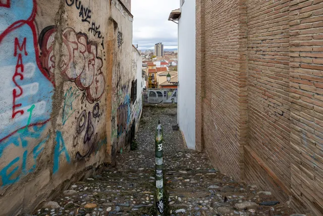 SE VENDE TERRENO URBANO PLURIFAMILIAR ZONA REAL DE CARTUJA Y JARDINES DEL TRIUNFO — 17