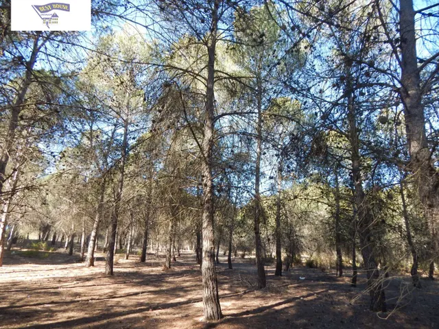 GRAN PARCELA URBANIZABLE EN PLENA NATURALEZA DE LA URB. HELIOS!!! — 5
