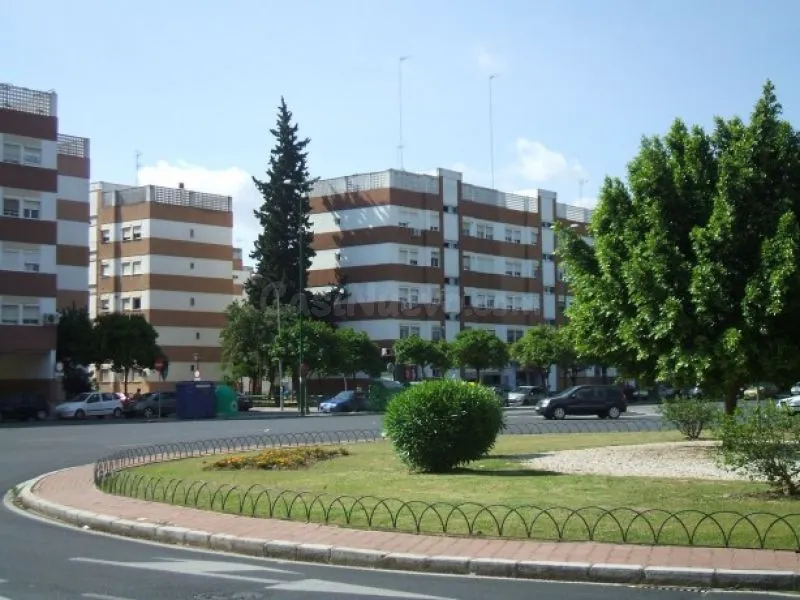 LOCAL EN LA OLIVA