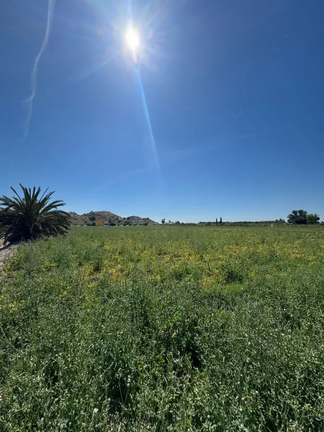 Finca rústica 2 habitaciones 100m² en venta - Comunidad valenciana — 15