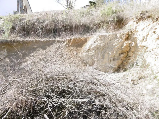 Terreno en Ripoll - foto 4