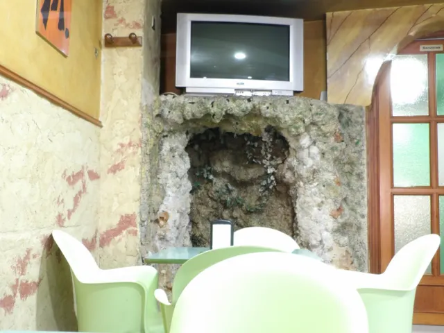 ¿LO TUYO ES LA HOSTELERÍA..?, ESTE ES TU LOCAL - POSIBILIDAD DE OPCIÓN COMPRA — 14