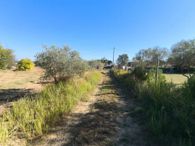 Finca Rústica en Gibraleón en la zona de la calvilla — 23