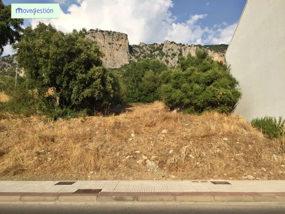 VENTA DE DOS SOLARES ZONA LA VEGA