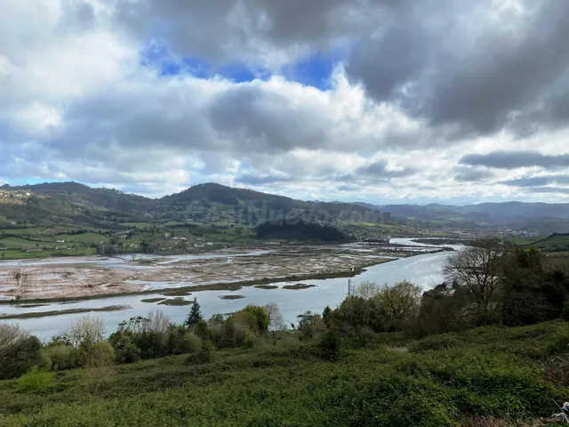 EXCLUSIVA PROPIEDAD CON VISTAS A LA RIA Y 70 HECTAREAS DE TE
