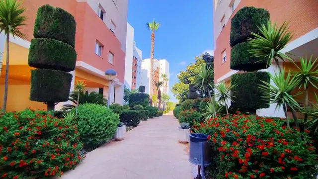 Gran bungalow en torreveija: 3 hab, 2 baños — 3