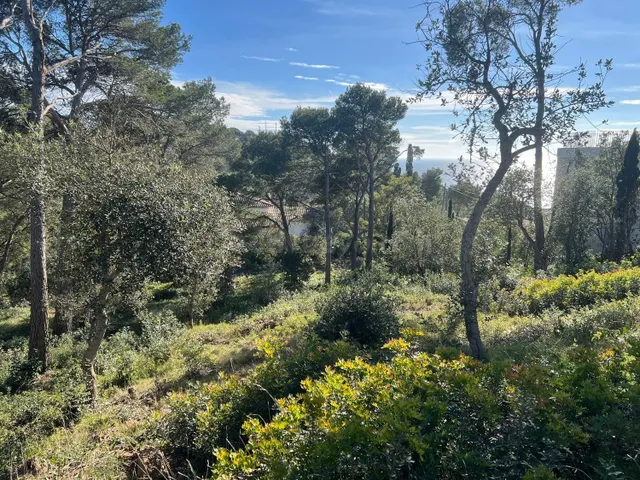 Terreno urbanizable 363m² en venta - Llafranc - foto 2
