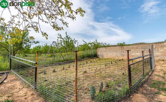 Finca rústica en venta con casa, nave y piscina - foto 5