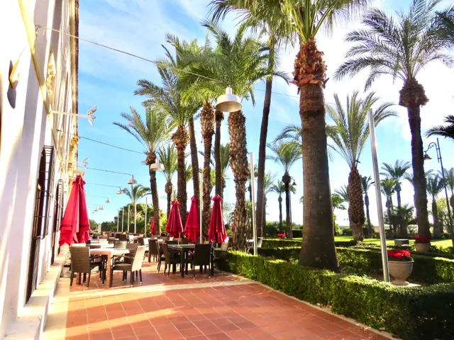 Planta baja 2 habitaciones 75m² en venta - SUCINA — 18
