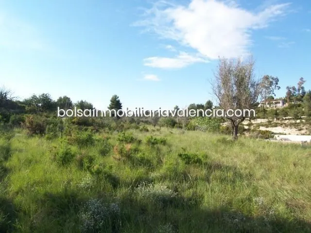 Terreno rural 8000m² en venta - La Raiosa — 19