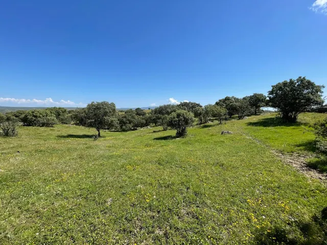 Terreno rural en venta - Extremadura — 16