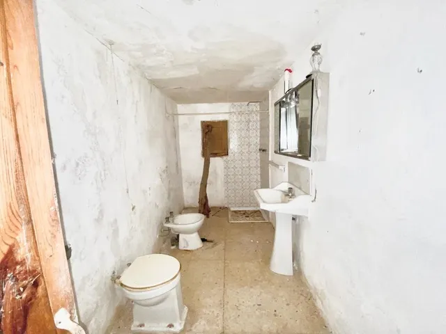 Finca rústica con caseta y 6000m2 para tus proyectos de campo — 15