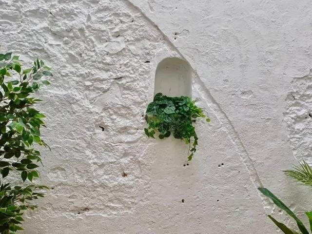 Se vende planta baja en Almussafes, Valencia — 38