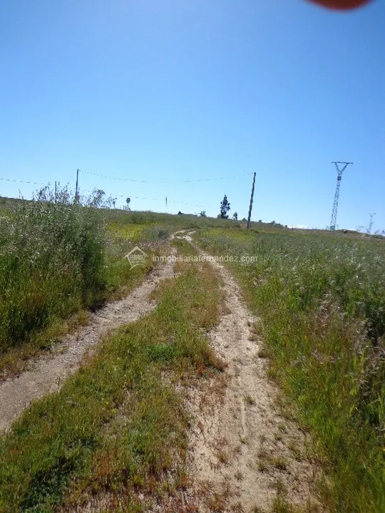 Terreno rural en venta - SIERRA DE FUENTES - foto 3