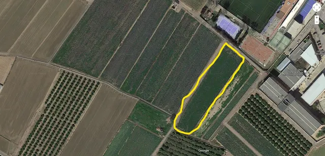 Terreno rural en venta - Huerta — 8