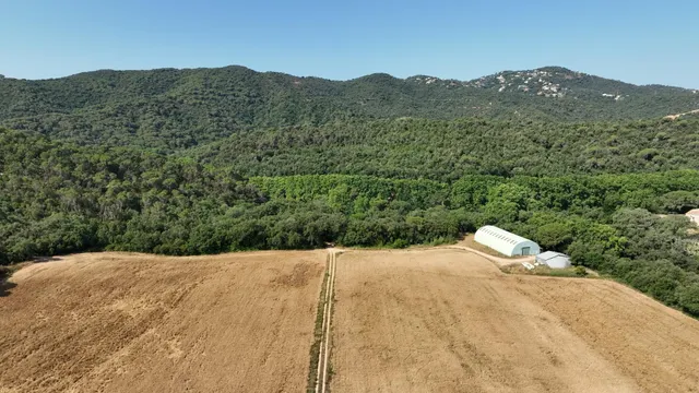 Masía histórica para rehabilitar con 19 hectáreas de terreno – Tossa de Mar — 8
