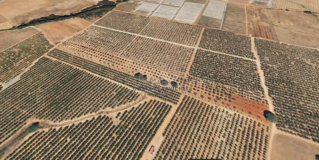 Terreno agrario 1Hectarea — 5