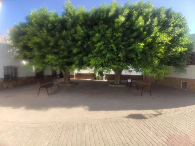Solar en venta - Pueblo — 15