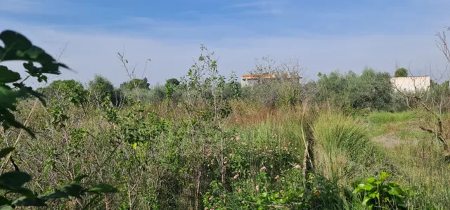 ++Terreno no urbano en Molina de Segura zona El Paraje++, 500 m. — 4