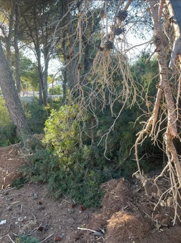 Parcela en Benissa costa — 3