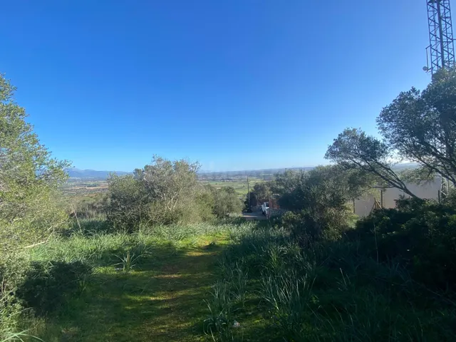 ✨ ¡OPORTUNIDAD ÚNICA EN EL CORAZÓN DE MALLORCA! ✨ - foto 2