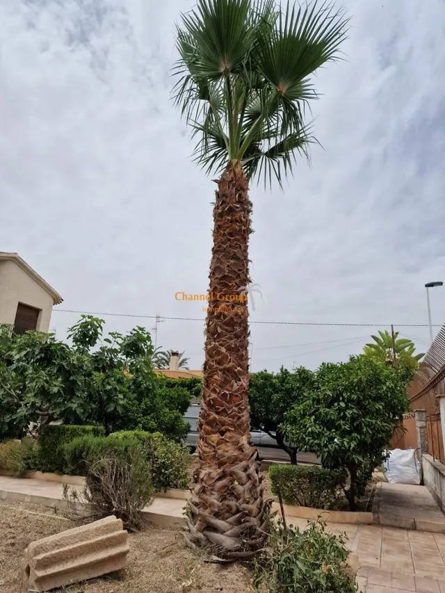 SE VENDE CHALET EN ELCHE — 14