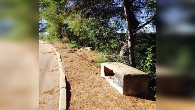 Terreno Urbano en Venta - Can Gordei, La Bisbal del Penedès  - foto 2