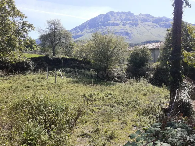 Casa para reformar con 600m de terreno - foto 2