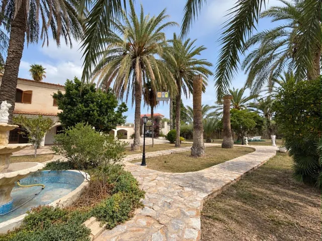 FINCA EXCLUSIVA CON GRAN POTENCIAL EN ELDA - foto 2