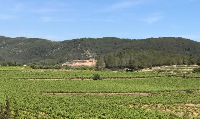 Finca rústica con dos casas a cinco minutos de Sitges. — 3