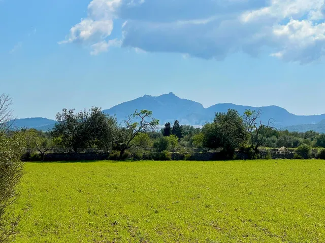Finca rústica de 14.884 m2 entre Porreres y Felanitx con esp - foto 4