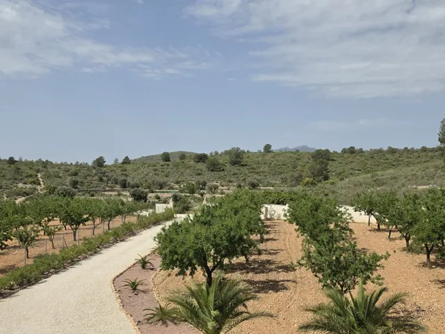 Villa 3 habitaciones 263m² en venta - Comunidad valenciana — 37