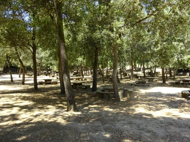 Finca rústica de 9 hectáreas en Arenys de Munt — 48