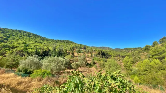 ESPECTACULAR FINCA DE 32 HECTAREAS IDEAL PARA DESCONECTAR O INVERSION PARA COMPLEJO RURAL — 36