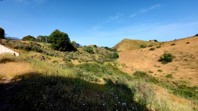 CORTIJO PARA TI Y TUS ANIMALES — 22