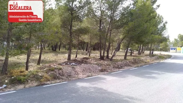 PARECELA A166. TEROL. TIBI — 2