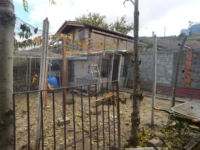 Finca Urbana en Bernuy — 9