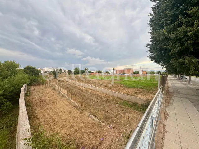 Terreno de 15.751 m2 en Burriana junto a polo comercial — 11