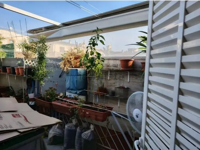 OPORTUNIDAD ÚNICA EN SON RAPINYA – PALMA DE MALLORCA — 36