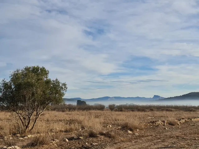 Terreno en venta en Monóvar Comunidad Valenciana — 8