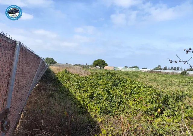 Terreno rural en venta - Carretera Sanlucar - foto 4