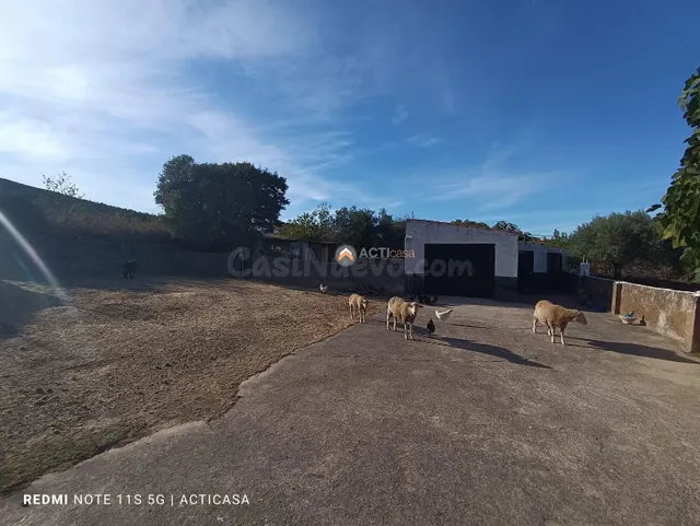 FINCA RÚSTICA CON VIVIENDA EN SIERRA DE FUENTES - foto 3
